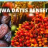 Unleashing the Hidden Wonders: Ajwa Dates Benefits for a Healthier Life 2023